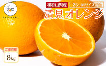 家庭用&nbsp;森本農園の手選別&nbsp;小粒清見オレンジ&nbsp;約8kg&nbsp;和歌山県産&nbsp;2S～Mサイズ混合&nbsp;［北海道・沖縄・離島配送不可］［2026年2月上旬から5月中旬頃順次発送予定］［RN94］