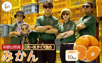 訳あり&nbsp;森本農園の手選別&nbsp;大玉みかん&nbsp;約10kg&nbsp;和歌山県産&nbsp;2L・3Lサイズ混合&nbsp;［北海道・沖縄・離島配送不可］［2025年11月上旬から順次発送］［RN84］