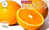 家庭用&nbsp;森本農園の手選別&nbsp;大玉清見オレンジ&nbsp;約4.5kg&nbsp;和歌山県産&nbsp;2L~4Lサイズ混合&nbsp;［北海道・沖縄・離島配送不可］［2026年2月上旬から順次発送予定］［RN100］