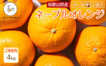 家庭用&nbsp;森本農園の手選別&nbsp;大玉ネーブルオレンジ&nbsp;約4kg&nbsp;和歌山県産&nbsp;2L~4Lサイズ混合&nbsp;［北海道・沖縄・離島配送不可］［2027年1月上旬から順次発送］［RN105］
