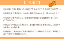 贈答用&nbsp;森本農園の手選別&nbsp;八朔&nbsp;約2kg&nbsp;和歌山県産&nbsp;サイズ混合&nbsp;［北海道・沖縄・離島配送不可］［2027年1月中旬から発送予定］［RN122］