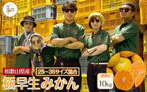 訳あり&nbsp;森本農園の手選別&nbsp;極早生小粒みかん&nbsp;約10kg&nbsp;和歌山県産&nbsp;2S・3Sサイズ混合&nbsp;［北海道・沖縄・離島配送不可］［2026年10月上旬から順次発送］［RN58］