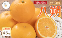家庭用&nbsp;森本農園の手選別&nbsp;八朔&nbsp;約4.5kg&nbsp;和歌山県産&nbsp;サイズ混合&nbsp;［北海道・沖縄・離島配送不可］［2026年1月中旬から発送予定］［RN114］★