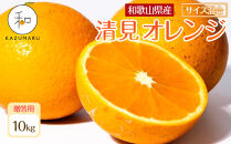 贈答用&nbsp;森本農園の手選別&nbsp;厳選清見オレンジ&nbsp;約10kg&nbsp;和歌山県産&nbsp;サイズ混合&nbsp;［北海道・沖縄・離島配送不可］［2026年2月上旬から5月中旬頃順次発送予定］［RN90］