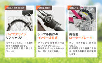 《12月初旬頃発送》完成品でお届け！ 電動自転車 20インチ 11.1Ah ペット乗せ 自転車 ペットポーター［京都 自転車 メーカー 組立不要 すぐ乗れる ペットとお出かけ 電動自転車 おしゃれ 安全基準BAA付き LEDライト 人気 おすすめ 自転車 通勤 通学 スポーツ アウトドア ツーリング ブランド 丸石サイクル 自転車 送料無料 ふるさと納税 ］PET-ASPET203Z-FB【マットブラック(K65T)】