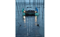 焼き師ママが焼いた九州ハンバーグ&nbsp;・有明のりとゴルゴンゾーラソース&nbsp;(6個入り)