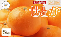 森本農園の手選別 せとか 約5kg 和歌山県産 サイズ混合 ［北海道・沖縄・離島配送不可］［2026年2月上旬から順次発送予定］［RN131］