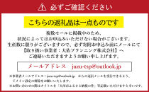 N-043&nbsp;ウォールナット　一枚板&nbsp;ダイニングテーブル＋脚&nbsp;テーブル&nbsp;ダイニング&nbsp;座卓&nbsp;家具