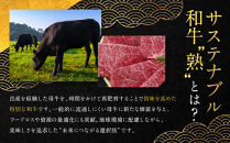 【銀閣寺大西】国産サステナブル和牛「熟」100％&nbsp;煮込みハンバーグ（デミグラスソース）2個セット［&nbsp;京都&nbsp;老舗精肉店&nbsp;有名店&nbsp;至極の煮込みハンバーグ&nbsp;贅沢&nbsp;人気&nbsp;おすすめ&nbsp;グルメ&nbsp;肉&nbsp;牛肉&nbsp;和牛&nbsp;国産牛&nbsp;ご褒美&nbsp;ギフト&nbsp;プレゼント&nbsp;贈答&nbsp;お取り寄せ&nbsp;通販&nbsp;送料無料&nbsp;ふるさと納税&nbsp;］