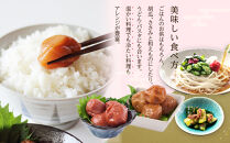 無選別&nbsp;和歌山の完熟南高梅&nbsp;味が染み込んだ梅干し&nbsp;はちみつ味&nbsp;500g&nbsp;塩分10％