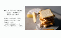 【東京ミルクチーズ工場】ソルト&カマンベールクッキー9枚入10箱セット