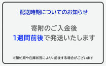 【東京ミルクチーズ工場】ソルト&カマンベールクッキー9枚入10箱セット
