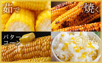 地元テレビで紹介!【先行予約】糖度18～19度!&nbsp;北海道旭川産スイートコーン約5kg&nbsp;(2026年8月中旬発送開始予定)&nbsp;【&nbsp;とうもろこし&nbsp;コーン&nbsp;ゴールドラッシュ&nbsp;野菜&nbsp;旬&nbsp;お取り寄せ&nbsp;北海道&nbsp;旭川市&nbsp;】_05256