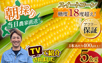 地元テレビで紹介!【先行予約】糖度18～19度!&nbsp;北海道旭川産朝採れスイートコーン約5kg&nbsp;(2026年8月中旬発送開始予定)&nbsp;【&nbsp;とうもろこし&nbsp;コーン&nbsp;ゴールドラッシュ&nbsp;野菜&nbsp;旬&nbsp;お取り寄せ&nbsp;北海道&nbsp;旭川市&nbsp;】_05256
