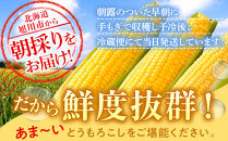 地元テレビで紹介!【先行予約】糖度18～19度!&nbsp;北海道旭川産朝採れスイートコーン約5kg&nbsp;(2026年8月中旬発送開始予定)&nbsp;【&nbsp;とうもろこし&nbsp;コーン&nbsp;ゴールドラッシュ&nbsp;野菜&nbsp;旬&nbsp;お取り寄せ&nbsp;北海道&nbsp;旭川市&nbsp;】_05256