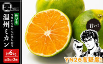 先行予約極早生温州ミカン&nbsp;YN26&nbsp;約6kg（約3kg×2箱）サイズ混合&nbsp;和歌山県&nbsp;有田みかん&nbsp;2025年9月下旬頃発送