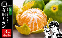 先行予約極早生みかん&nbsp;約6kg（約3kg×2箱）サイズ混合&nbsp;和歌山県&nbsp;有田みかん&nbsp;2025年10月中旬頃発送