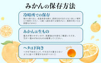 先行予約極早生みかん&nbsp;約6kg（約3kg×2箱）サイズ混合&nbsp;和歌山県&nbsp;有田みかん&nbsp;2025年10月中旬頃発送