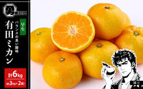 先行予約早生みかん&nbsp;約6kg（約3kg×2箱）サイズ混合&nbsp;和歌山県&nbsp;有田みかん&nbsp;2025年11月中旬頃発送