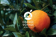 屋久島産たんかんのパンナコッタ12個セット