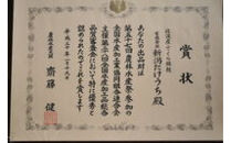 【訳あり】佐渡産ふっくら銀鮭（切り落とし　１ｋｇ）