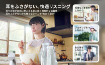 Victor&nbsp;完全ワイヤレスイヤホン&nbsp;HA-NP1T-H（アイスグレー）