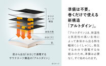 SIXPAD Abs 2【LLサイズ】