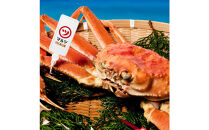 【1月～5月発送】【蟹セレブ】ズワイガニ（紅ズワイガニ）特大2杯（600～700g×2）