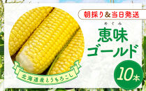 【2026年8月中旬発送開始】北海道産とうもろこし（恵味ゴールド10本）