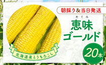 【2026年8月中旬発送開始】北海道産とうもろこし（恵味ゴールド20本）