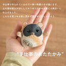 福こいたぬき　hc-16【信楽焼・明山】