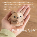 おねがいたぬき(小)　hc-15【信楽焼・明山】