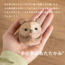 【ポイント交換専用】おねがいたぬき(小)　hc-15【信楽焼・明山】