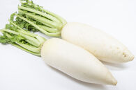 ぶり大根　富山の郷土料理　源助大根とブリを炊き合わせた本格派のおいしさ