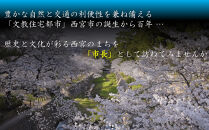 西宮市100周年記念「1日市長体験」