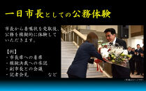 西宮市100周年記念「1日市長体験」