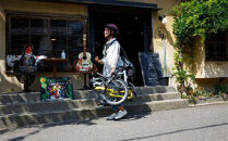 【Tyrell(タイレル)】IVE&nbsp;マシングレー&サンセットオレンジ【自転車&nbsp;折りたたみ式&nbsp;ミニベロ&nbsp;スポーツ&nbsp;ロードバイク&nbsp;スポーツサイクル&nbsp;通勤&nbsp;通学&nbsp;サイクリング&nbsp;変速付き&nbsp;香川県&nbsp;さぬき市】