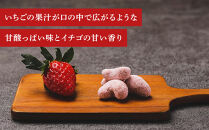 あまおう&nbsp;いちごチョコカシューナッツ　300g