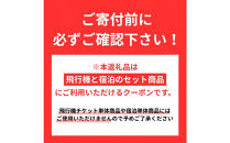名古屋市に泊まる ふるさと納税旅行クーポン【6,000円分】