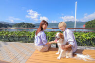 芦ノ湖遊覧船　1日フリー乗車券＋ワンちゃん2匹まで