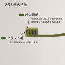 奥歯のウラまでしっかり磨ける&nbsp;穴の開いた&nbsp;歯ブラシ&nbsp;合計12本&nbsp;（1箱4本入(4色)×3箱&nbsp;）