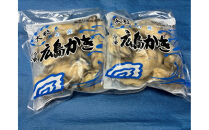 宮島が育んだ冷凍むき身600g+牡蠣殻マグネット＆キーホルダー