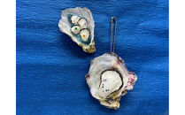 宮島が育んだ冷凍むき身600g+牡蠣殻マグネット＆キーホルダー