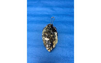 宮島が育んだ冷凍むき身600g+牡蠣殻マグネット＆キーホルダー