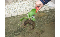 【セット】墓参りセット（シルバーバケツ8L、ミニスター＆チリトリ、ハードタイルブラシ、ビン洗い、根かきくまで）