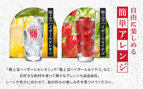 《先行予約》【宝酒造】極上宝ハイボール&nbsp;350ml×24本&nbsp;4/7から発送｜京都&nbsp;タカラ&nbsp;焼酎&nbsp;酎ハイ&nbsp;ハイボール&nbsp;人気セット［&nbsp;京都&nbsp;タカラ&nbsp;宝焼酎&nbsp;強炭酸割り&nbsp;チューハイ&nbsp;ハイボール&nbsp;人気&nbsp;おすすめ&nbsp;お取り寄せ&nbsp;通販&nbsp;送料無料&nbsp;ふるさと納税&nbsp;］