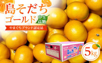 【やまぐちブランド認定品】2026年12月頃より順次発送!島そだちゴールド(中生・高糖)&nbsp;5kg