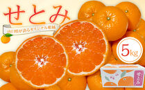 【2026年2月下旬～3月頃より順次発送】山口県が誇るオリジナル柑橘《せとみ》5kg