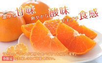 【2026年2月下旬～3月頃より順次発送】山口県が誇るオリジナル柑橘《せとみ》5kg