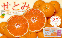 【2026年2月下旬～3月頃より順次発送】山口県が誇るオリジナル柑橘《せとみ》2.5kg